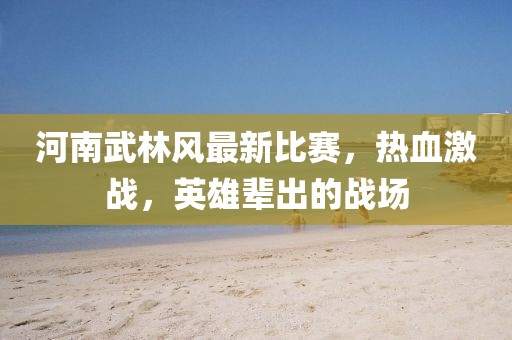 河南武林風(fēng)最新比賽，熱血激戰(zhàn)，英雄輩出的戰(zhàn)場
