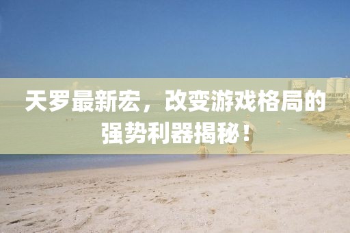 天羅最新宏，改變游戲格局的強(qiáng)勢(shì)利器揭秘！