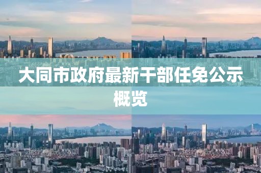 大同市政府最新干部任免公示概覽