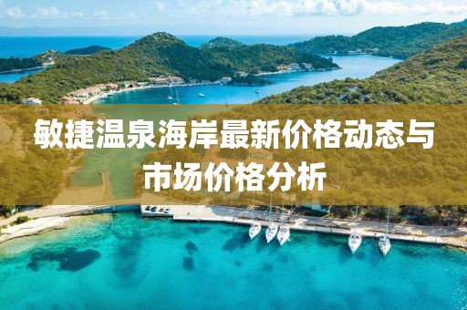 敏捷溫泉海岸最新價格動態(tài)與市場價格分析