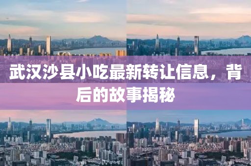武漢沙縣小吃最新轉(zhuǎn)讓信息，背后的故事揭秘