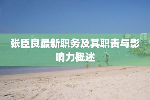 張臣良最新職務及其職責與影響力概述