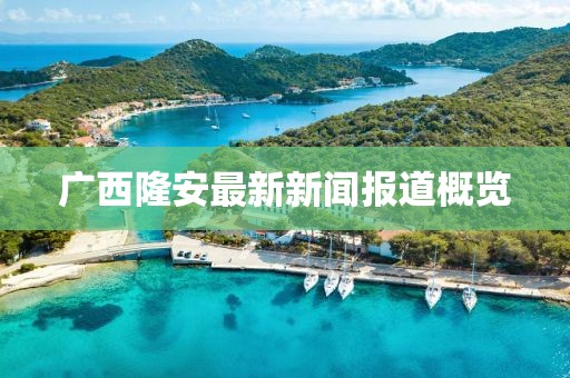 廣西隆安最新新聞報道概覽