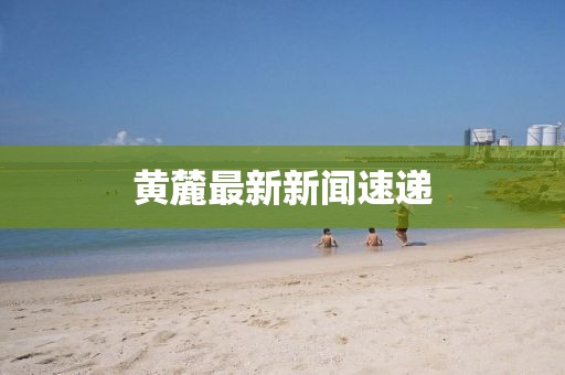 黃麓最新新聞速遞