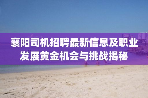 襄陽司機招聘最新信息及職業(yè)發(fā)展黃金機會與挑戰(zhàn)揭秘