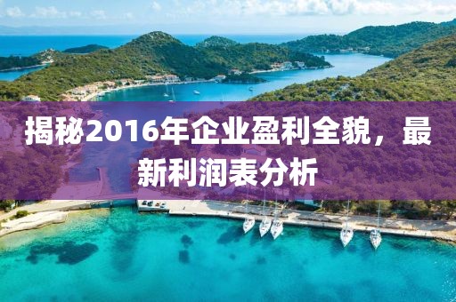 揭秘2016年企業(yè)盈利全貌，最新利潤表分析