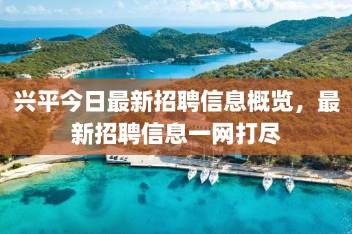 興平今日最新招聘信息概覽，最新招聘信息一網(wǎng)打盡