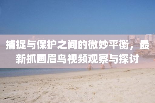捕捉與保護(hù)之間的微妙平衡，最新抓畫(huà)眉鳥(niǎo)視頻觀察與探討