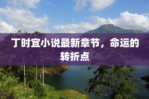 丁時宜小說最新章節(jié)，命運的轉(zhuǎn)折點