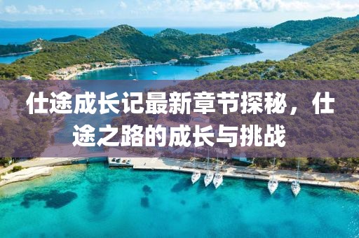 仕途成長記最新章節(jié)探秘，仕途之路的成長與挑戰(zhàn)