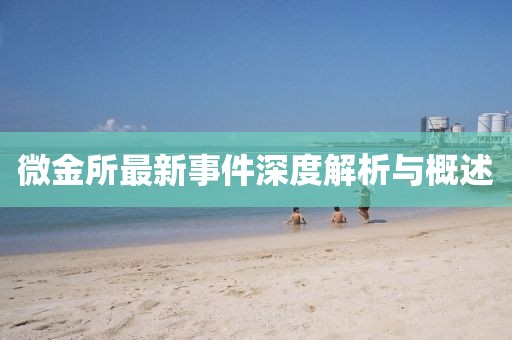 微金所最新事件深度解析與概述