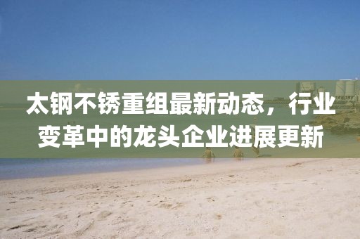 太鋼不銹重組最新動態(tài)，行業(yè)變革中的龍頭企業(yè)進展更新