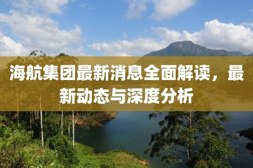 海航集團最新消息全面解讀，最新動態(tài)與深度分析