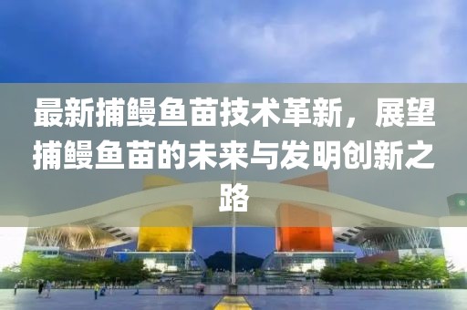 最新捕鰻魚苗技術(shù)革新，展望捕鰻魚苗的未來與發(fā)明創(chuàng)新之路