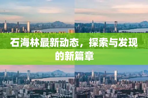 石海林最新動態(tài)，探索與發(fā)現的新篇章