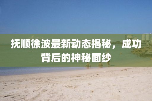 撫順徐波最新動(dòng)態(tài)揭秘，成功背后的神秘面紗