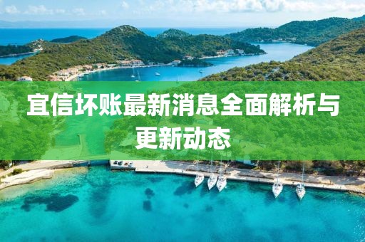 宜信壞賬最新消息全面解析與更新動態(tài)