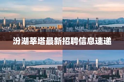 汾湖莘塔最新招聘信息速遞