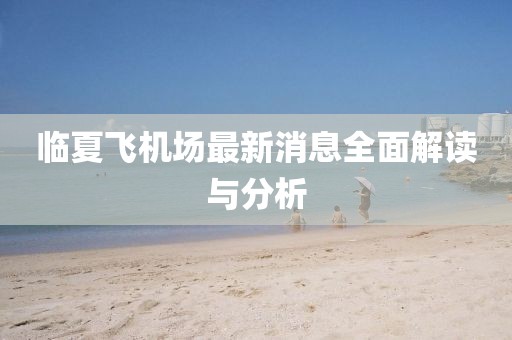 臨夏飛機(jī)場最新消息全面解讀與分析