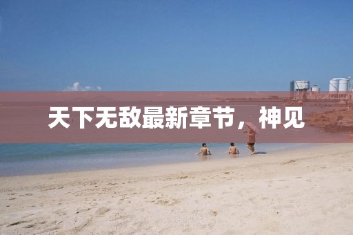 天下無敵最新章節(jié)，神見