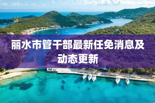 麗水市管干部最新任免消息及動態(tài)更新