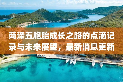 菏澤五胞胎成長之路的點(diǎn)滴記錄與未來展望，最新消息更新