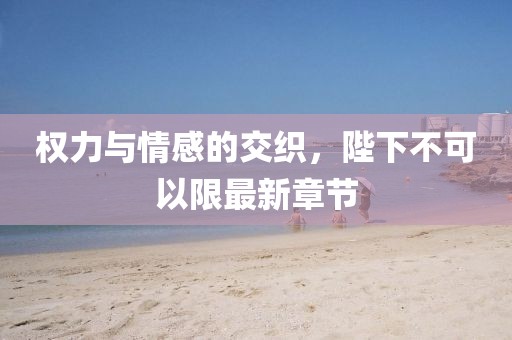 權(quán)力與情感的交織，陛下不可以限最新章節(jié)