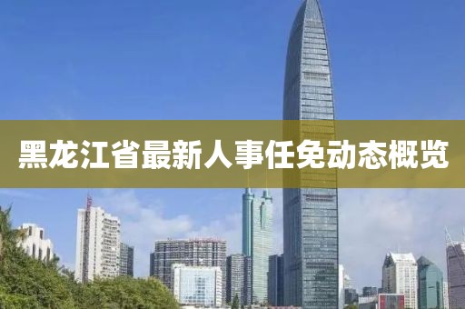 黑龍江省最新人事任免動態(tài)概覽