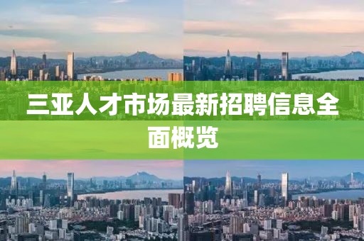 三亞人才市場最新招聘信息全面概覽