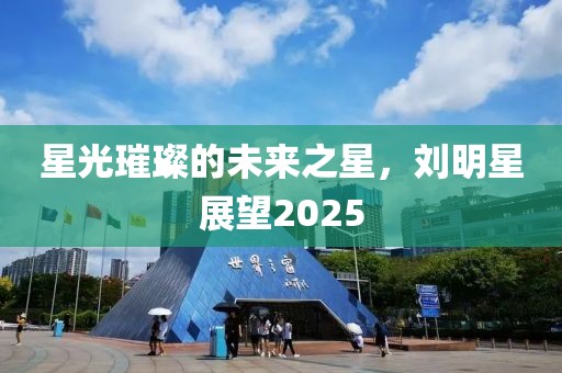 星光璀璨的未來之星，劉明星展望2025
