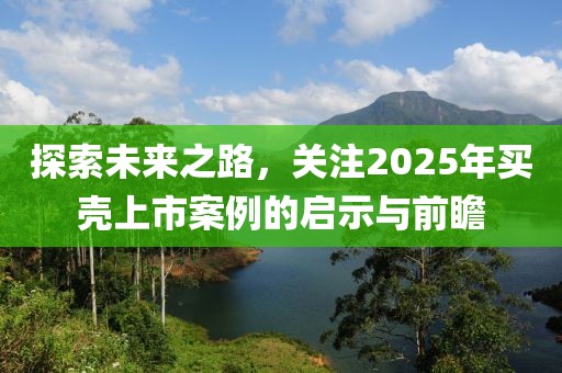 探索未來(lái)之路，關(guān)注2025年買殼上市案例的啟示與前瞻