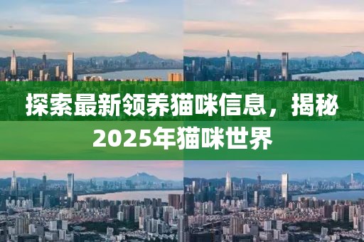 探索最新領養(yǎng)貓咪信息，揭秘2025年貓咪世界