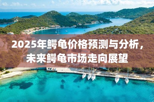 2025年鱷龜價(jià)格預(yù)測(cè)與分析，未來(lái)鱷龜市場(chǎng)走向展望