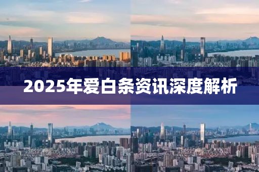 2025年愛白條資訊深度解析