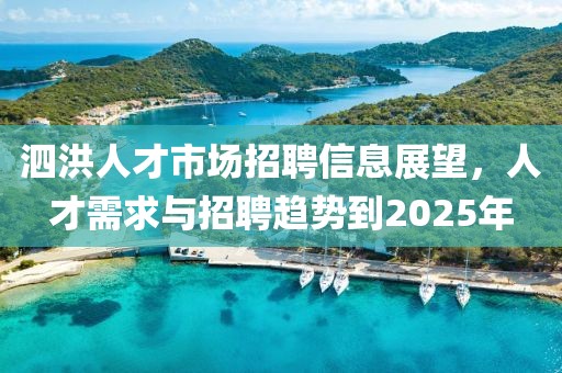 泗洪人才市場(chǎng)招聘信息展望，人才需求與招聘趨勢(shì)到2025年