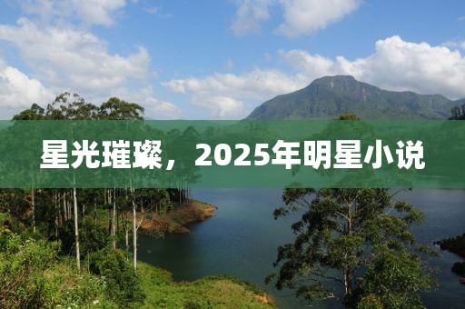 星光璀璨，2025年明星小說