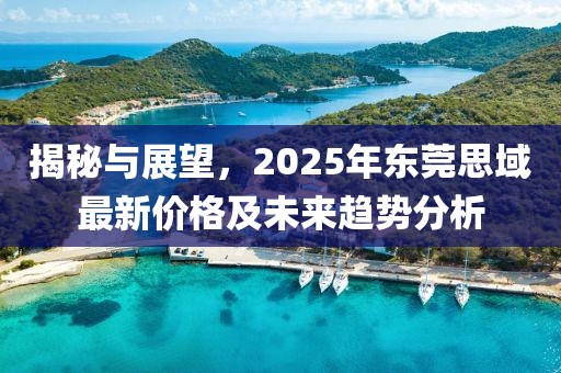 揭秘與展望，2025年東莞思域最新價格及未來趨勢分析