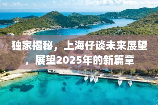 獨(dú)家揭秘，上海仔談未來展望，展望2025年的新篇章