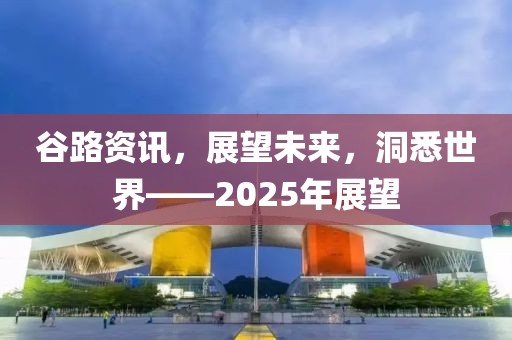 谷路資訊，展望未來(lái)，洞悉世界——2025年展望