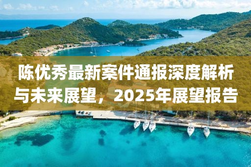 陳優(yōu)秀最新案件通報(bào)深度解析與未來(lái)展望，2025年展望報(bào)告