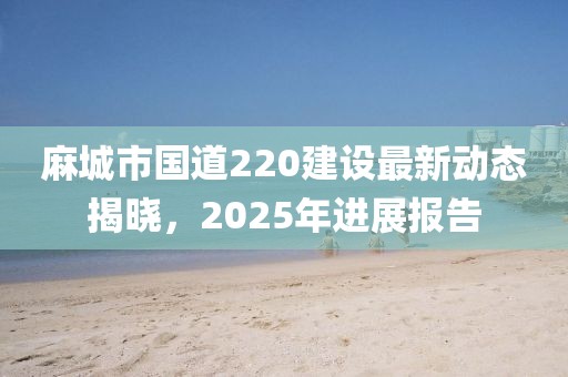 麻城市國道220建設(shè)最新動(dòng)態(tài)揭曉，2025年進(jìn)展報(bào)告