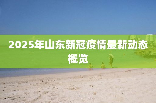 2025年山東新冠疫情最新動(dòng)態(tài)概覽