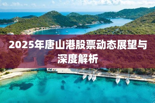 2025年唐山港股票動態(tài)展望與深度解析