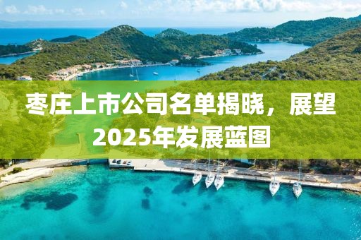 棗莊上市公司名單揭曉，展望2025年發(fā)展藍(lán)圖