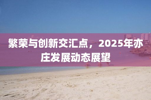 繁榮與創(chuàng)新交匯點，2025年亦莊發(fā)展動態(tài)展望