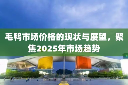 毛鴨市場(chǎng)價(jià)格的現(xiàn)狀與展望，聚焦2025年市場(chǎng)趨勢(shì)