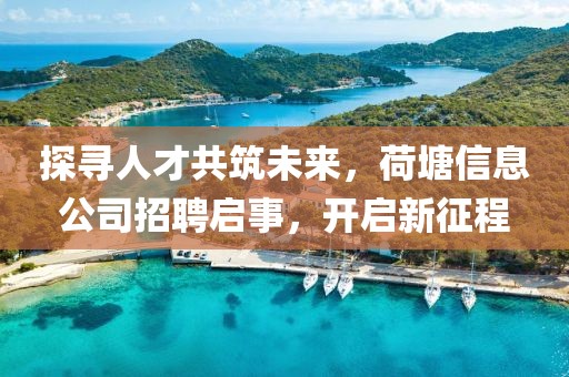 探尋人才共筑未來，荷塘信息公司招聘啟事，開啟新征程