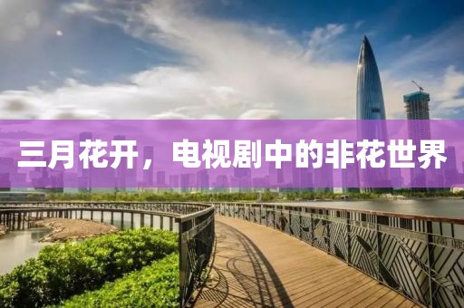 三月花開，電視劇中的非花世界