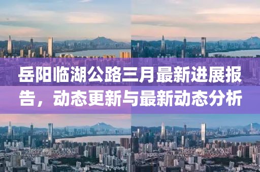 岳陽(yáng)臨湖公路三月最新進(jìn)展報(bào)告，動(dòng)態(tài)更新與最新動(dòng)態(tài)分析