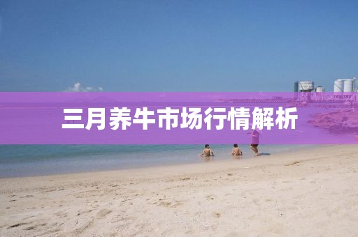 三月養(yǎng)牛市場行情解析